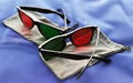 Red/Green goggle