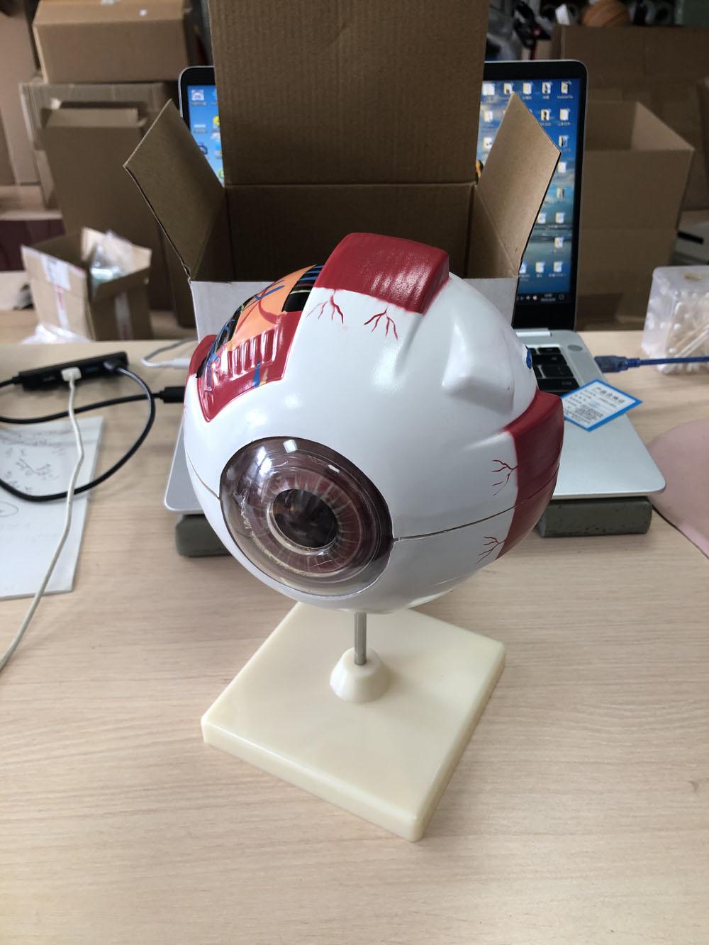 Eyeball model 3