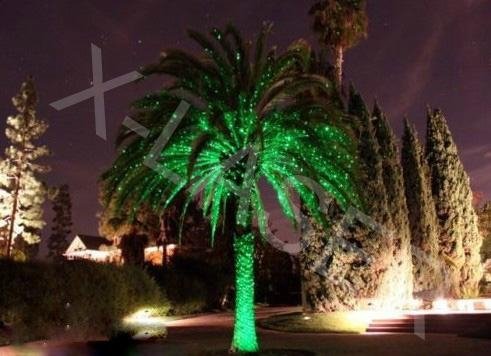 Hot new sale single green static firefly garden laser for outdoor decoration 2