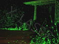 Hot new sale single green static firefly garden laser for outdoor decoration 3