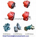 hydraulic motor