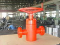 API6A Gate Valve