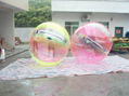 Water Walking Ball 3