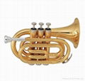 Trumpet/Pocket Trumpet /Bach Trumpet 