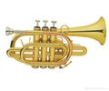 Trumpet/Pocket Trumpet /Bach Trumpet 