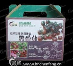 黑番茄種子 4