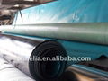 Green double side smooth hdpe film geomembrane sheet 3