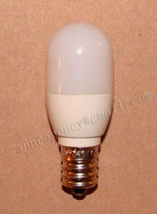 LED bulb