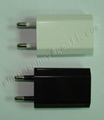 Travel charger for Ipad 1