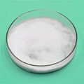 Stannous Sulfate, CAS No 7488-55-3