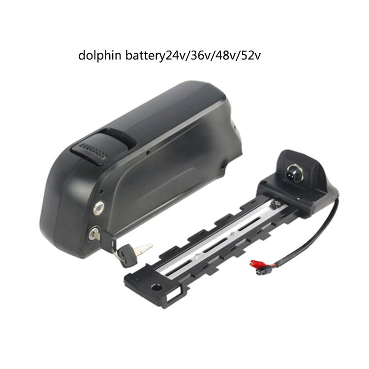  dolphin battery 48v 12.8ah dolphin ebike battery 