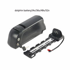 dolphin battery 48v 12.8ah dolphin ebike battery