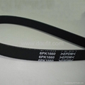 EPDM Ribbed PK Belt 1