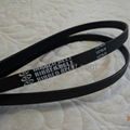  Doufit Elastic poly v belt 1