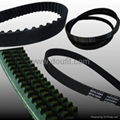  Doufit Elastic poly v belt 2