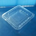 clamshells blister disposable  plastic blueberry packaging container 125 gramFDA 2