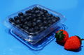 clamshells blister disposable  plastic blueberry packaging container 125 gramFDA 3