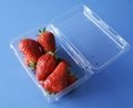 manufactory plastic fruit packaging container 250 gram strawberry packaging box  3