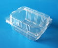 manufactory plastic fruit packaging container 250 gram strawberry packaging box 