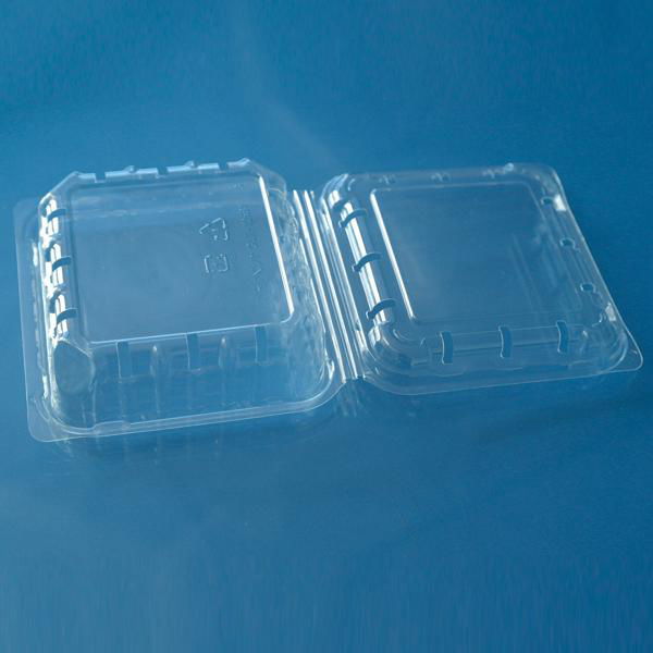 plastic blueberry packaging container 125 gram 2