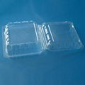 plastic blueberry packaging container 125 gram