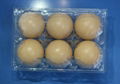 Disposable plastic egg tray for 6/10/12/15/30 holes 1