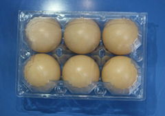 Disposable plastic egg tray for 6/10/12