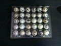 plastic quail egg tray quail egg packing container 30 slots holes packs