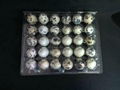 plastic quail egg tray quail egg packing container 30 slots holes packs 2