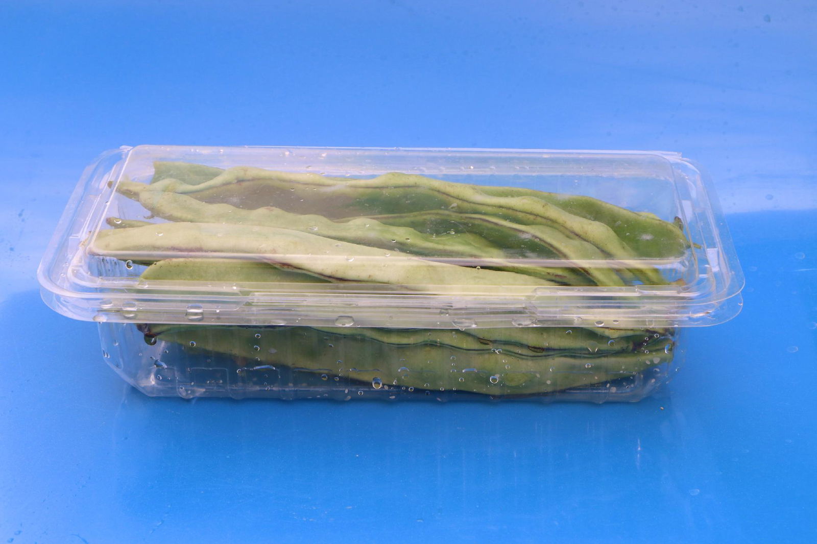 PP PET plastic packaging container for fruit vegetables