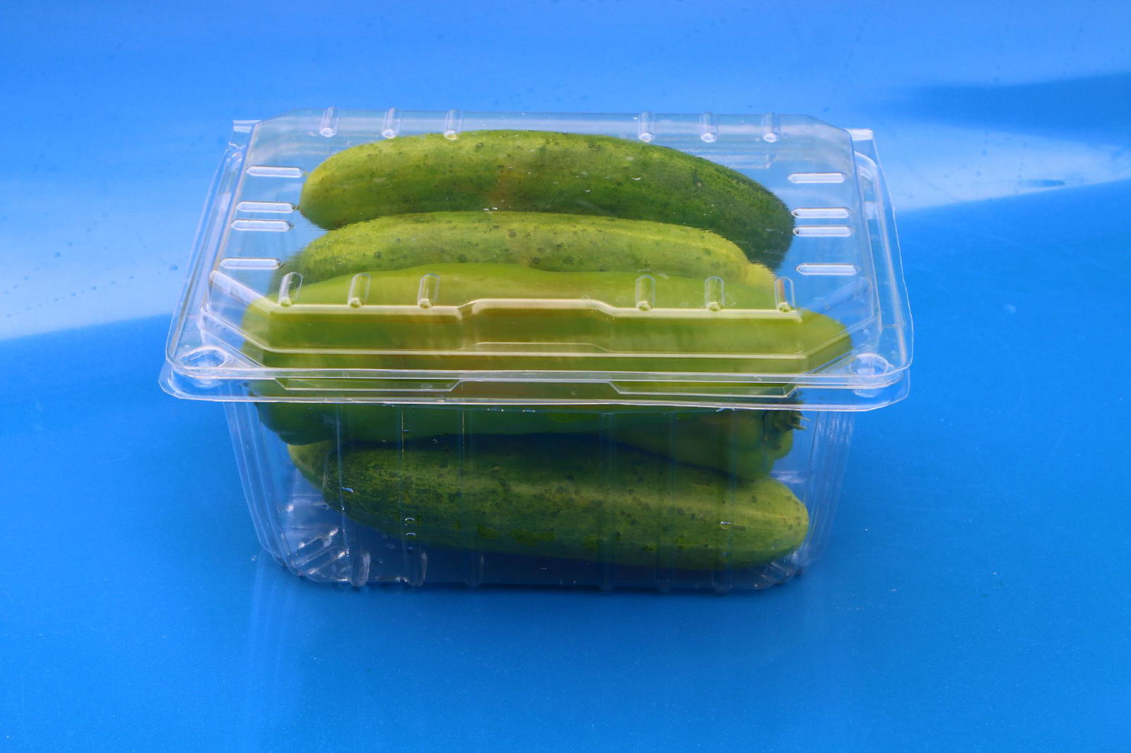 PP PET plastic packaging container for fruit vegetables 5