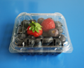plastic blueberry packaging container 125 gram
