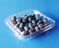 clamshells blister disposable  plastic blueberry packaging container 125 gramFDA 1