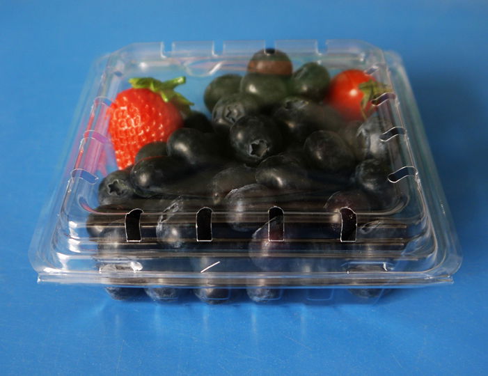 clamshells blister disposable  plastic blueberry packaging container 125 gramFDA 5