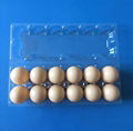 Disposable plastic egg tray for 6/10/12/15/30 holes