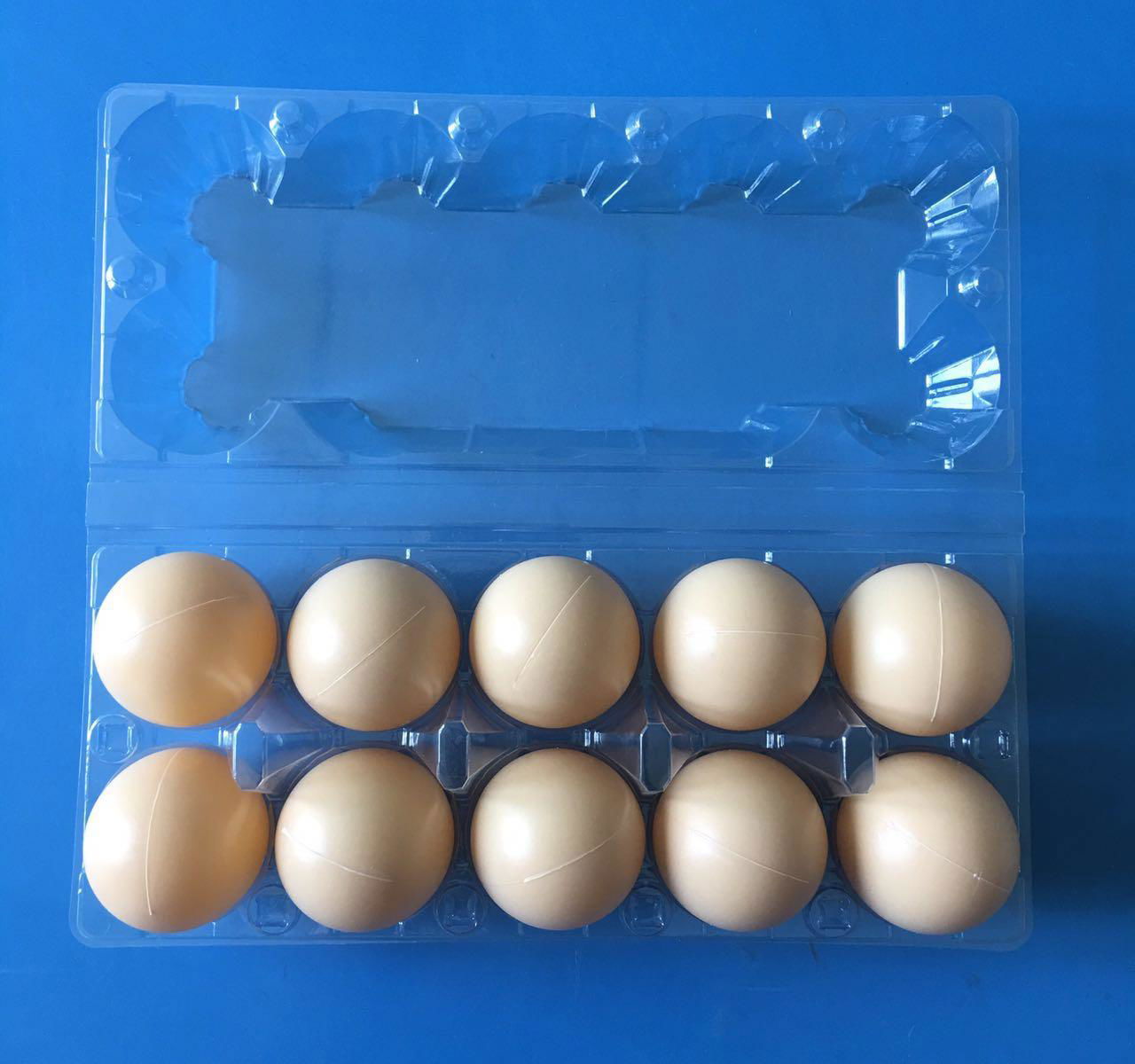 Disposable plastic egg tray for 6/10/12/15/30 holes 3