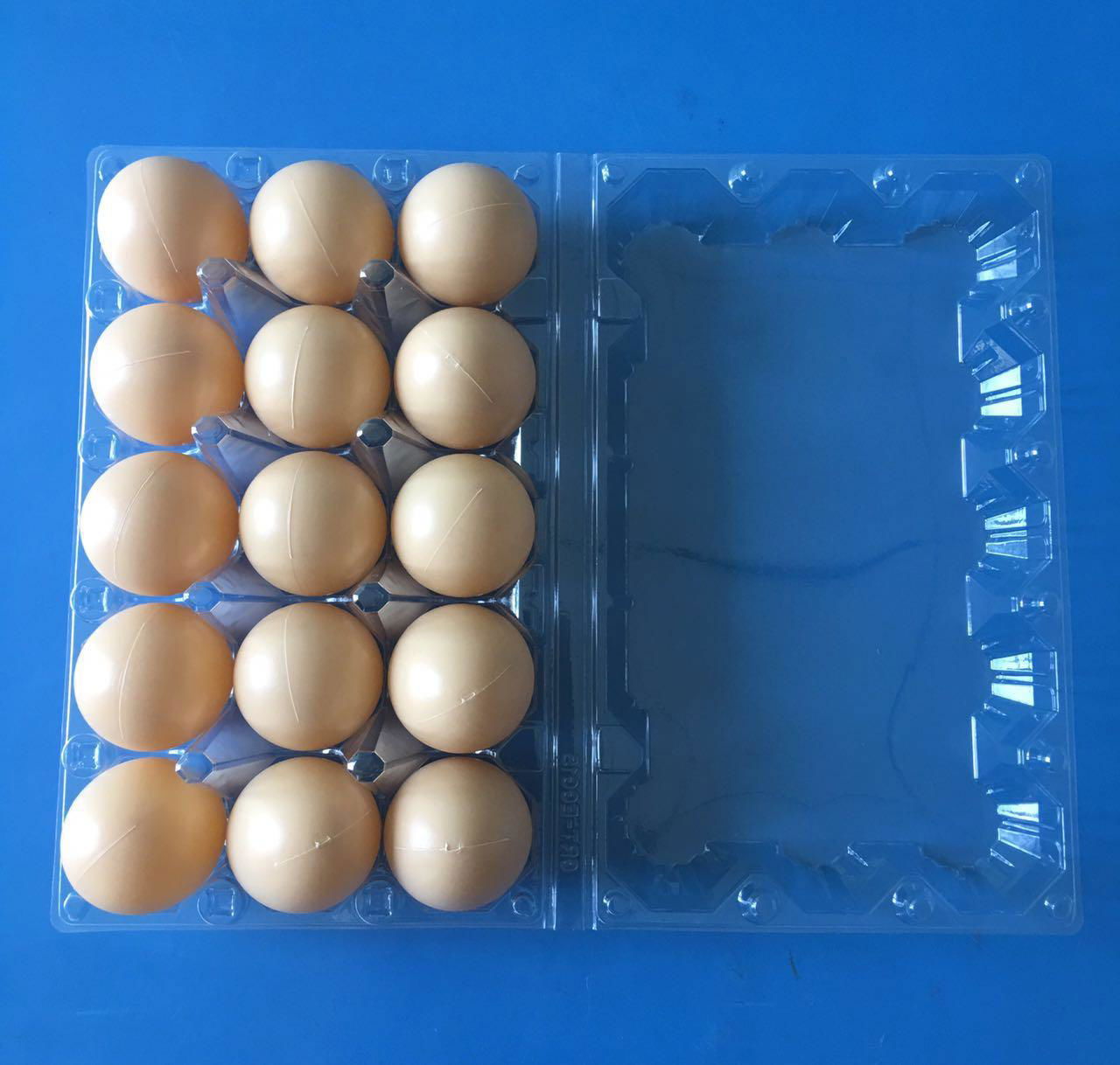 Disposable plastic egg tray for 6/10/12/15/30 holes 4