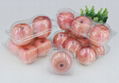 clamshells bilster plastic fruit packaging container for apple 2/3/4/6/8 pcs FDA 5