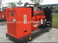 Camda Cummins H series gas generator set 1