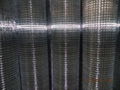 welded wire mesh