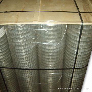 welded wire mesh 3