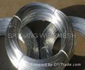 galvanized wire