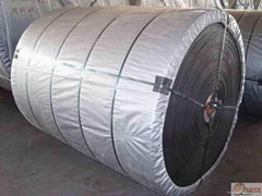 Nylon Conveyor Belt