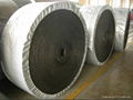 whole core fire retardant conveyor belt