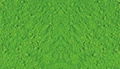 Iron Oxide Green