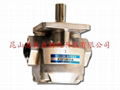 Japan K1P gear pump 1