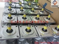 Japan SHIMADZU Shimadzu the GPY gear pump 2