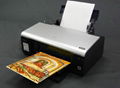 AP-153 A4 Artist Banner for Inkjet Desktop Printer(back with irremovable paper)