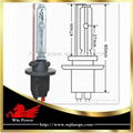 Xenon Light 880 881 for Fog Lamp