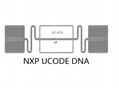 NXP UCODE DNA UHF label 1